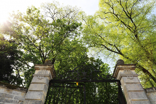 Parc du chateau