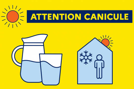 Visuel actu canicule