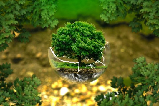 Budget Participatif Écologique