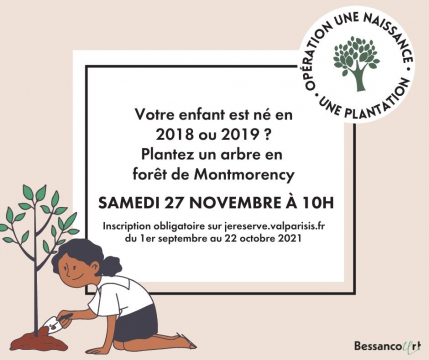 une naissance 1 arbre