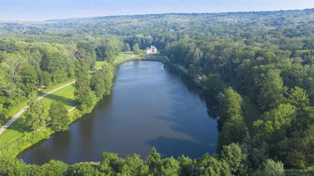 forêt de montmorency