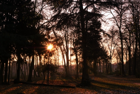 parc du château