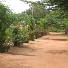 Zè