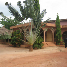 Zè